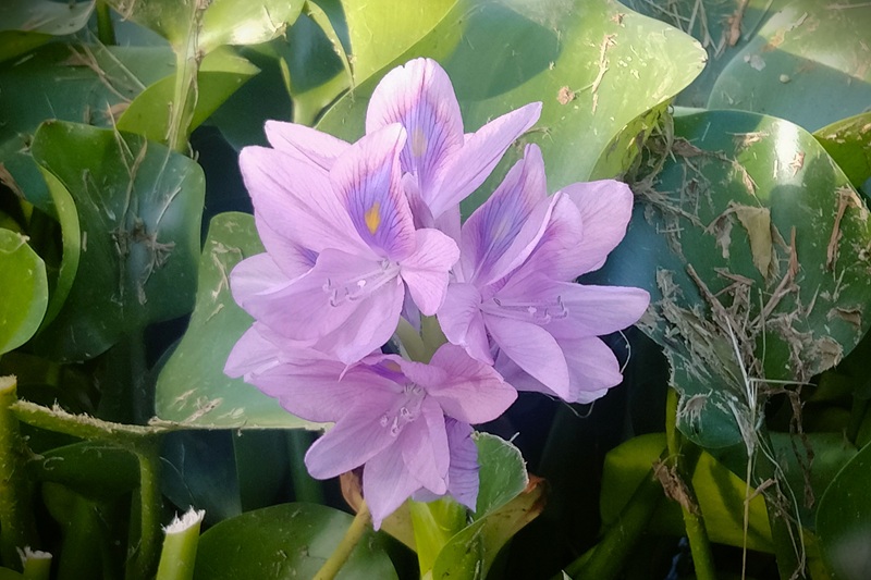 2025/11行政書士相談